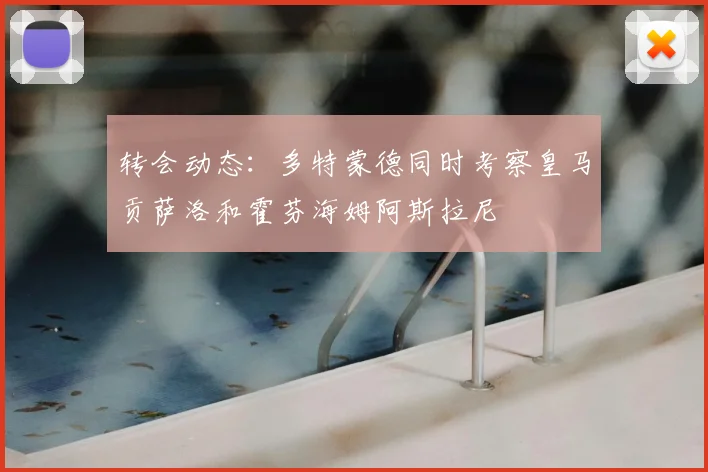 转会动态：多特蒙德同时考察皇马贡萨洛和霍芬海姆阿斯拉尼