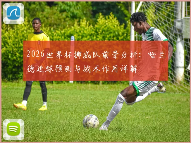 2026世界杯挪威队前景分析:哈兰德进球预测与战术作用详解