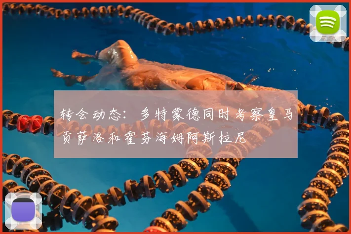 转会动态：多特蒙德同时考察皇马贡萨洛和霍芬海姆阿斯拉尼